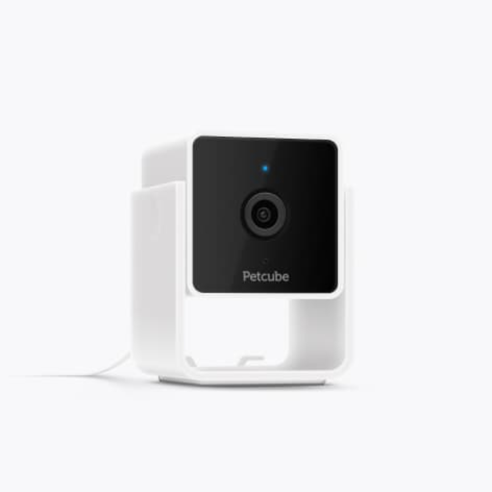 Умная камера для животных. Petcube Cam